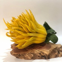(Now picked up and found) Jinhua Buddhas hand with water to raise the bergamot and bergamot