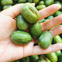 High-grade nuts and special Torreya 2021 new goods Zhuji Fengqiao specialty Torreya 500g bag gift box