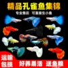 Товары от shijie1986