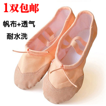 Adult Young Children Dance Shoes Boy and Girls Shoes Ballet Shoes Soft Soft Soft Soft Soft Cat Footwear Shoes Pink