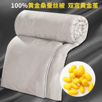 Hengyuan Xiang Silk Quilt 100% Gold Mulberry Silk Spring Autumn Winter Quilt Core Wedding Celebration All-cotton Two-season Quilt