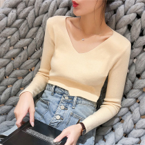 2021 autumn new V-neck long sleeve foreign-style bottoming knitwear autumn and winter slim body tight short sweater women