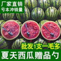 1thousand pieces) eat watermelon spoon takeaway disposable fruit shop supermarket watermelon gift spoon iron spoon long handle
