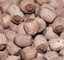  2021 Hunan specialty small grain with heart red lotus seed red skin powder glutinous dry goods with core red lotus 500g 1 kg