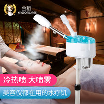 Jindao beauty salon special thermal spray face steamer Household hot and cold double spray nano sprayer Steam face spray beauty instrument