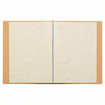 MUJI Transparent Monolithic Clip