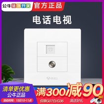 Bull switch socket panel household TV closed circuit Cable Antenna TV cable socket with telephone socket landline