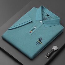 Short sleeve T-shirt mens high-end polo shirt 2021 new summer cotton business casual embroidery mens long sleeve Autumn Tide a
