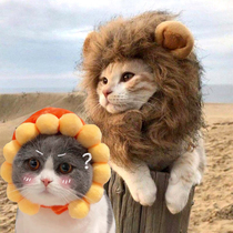 Cat lion head cover cat hat cute funny pet photo props small dog dress suit tremble sound rabbit ears