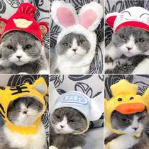 Cat hat rabbit ear pet cat headgear cute dog hat cat headdress dress up bib sunscreen tremble