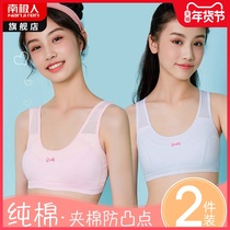 Developmental Primary School vest female junior high school girl High School underwear cotton bra children wear summer
