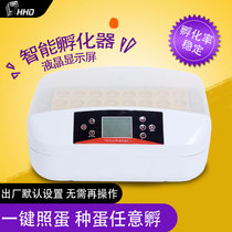 Incubator chicken small household automatic HHD egg incubator mini incubator quail bird egg incubator machine
