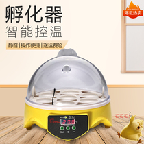 Mini incubator 7 chick incubator HHD incubator incubator box quail parrot household small incubator