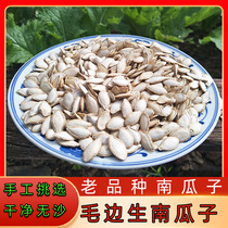 Yunnan burrs raw pumpkin seeds large granules old varieties melon seeds artificially selected new large seeds 500 grams