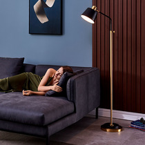 Nordic light luxury post-modern study net red floor lamp American bedside living room vertical remote control lifting floor lamp