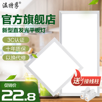 Wentefu integrated ceiling led panel light kitchen toilet ceiling embedded aluminum gusset light 30*30*60