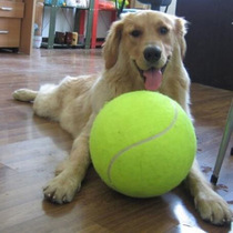 Tennis 24cm inflatable tennis event gift pet toy 9 5 inch pet ball nibble toy big pet