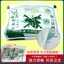 Dachau fly stickers are safe and environmentally friendly sticky fly glue sticky cardboard family suitable for killing flies and catching fly paper