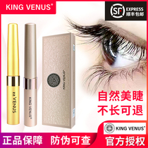 KINGVENUS Supreme Venus Eyebrows thick slender female zzVENUS official essence