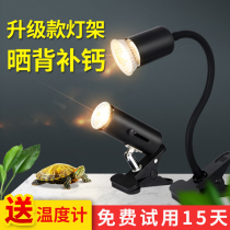 Turtle sun back light turtle lamp heater uvb sun turtle heat preservation sun lamp turtle jar light back climbing pet day lamp uva supplies