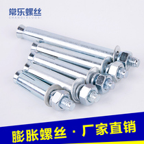 Special promotion galvanized expansion screw extended expansion screw m6 m8 m10 m12