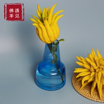 (With branches of water) Jinhua bergamot fresh cut bergamot fruit fresh with branches hydroponic flower arrangement clear for ornamental smell