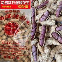 Fujian Minxi specialty Longyan wet roasted peanuts purple coat five fragrant hard crisp shell nut snacks 5kg New Year