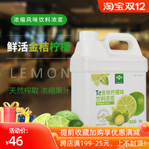 Fresh kumquat lemon juice concentrated juice commercial thick pulp commercial milk tea shop fresh kumquat lemon juice