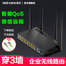 Lei Ke wireless router B1 monitoring dedicated 9-port iron shell small and medium-sized enterprise shops home wifi high-speed through the wall