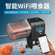 Smart wifi automatic feeder Goldfish Tropical fish timing small feeder Aquarium automatic fish feeder