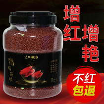 Parrot fish feed blood parrot fish mini red rich fish color fish food Red map fish food Special