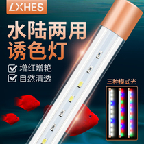 Fish tank lamp LED lamp waterproof lighting lamp dragon fish color aquarium special T8 tube bright diving Light Super