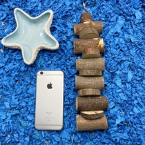 Dragon cat bites 25cm grinders Tooth Puzzling Toy New Boutiques Boutiques recommend overhymn