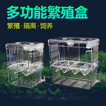 Fish tank isolation box guppies breeding box tropical fish small fish incubator box size juvenile fish incubator spawning room