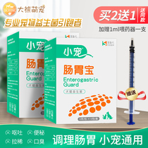 Gastrointestinal treasure small pet probiotics dog cat chinchilla rabbit conditioning gastrointestinal diarrhea soft stool diarrhea pet universal