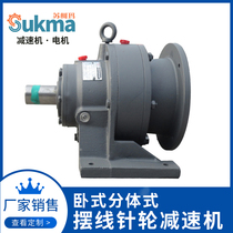 Horizontal flange type cycloid pinwheel reducer without motor BWD XWD manufacturer sales support customized maintenance