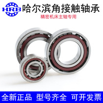 HRB Harbin angular contact ball bearing 7300 7301ac 7302 P4 7303 7304 P5 pairing precision