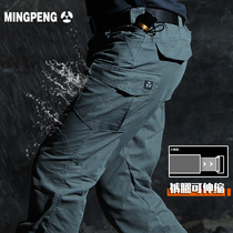 Governing Officer Thunder & Lightning Tactical Pants Mens Spring Autumn Outdoor Work Pants Military Memes Multipocket Pure Cotton Elastic Straight Cylinder For Training Pants