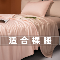 Summer small ice core A type of cool silk Summer quilted by air conditioning by summer cold by a thin section Summer ice silk quilt core washable