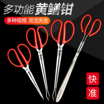 Finless eel holder eel fitter control fisher Clay Crab Clip Pliers Anti Slip Clip Fish God Instrumental Catch Fish Capture Tool