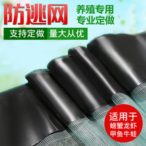 Lobster escape net Crab frog loach eel breeding escape net cloth Crayfish fence thickened escape cage