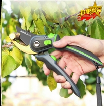 Chinese medicine scissors American ginseng scissors pharmacy special Chinese herbal medicine scissors matching horticultural scissors fruit branch scissors flower scissors