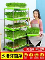 Bean Sprout Sprouted Pot Sprouts Fry nursery tray No soil cultivation Vegetable Bean Fry Cultivation Hydroponic equipment Sprouts Peas
