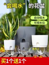 Minimalist transparent automatic water suction free watering sloth flower pot round plastic green loo flower water bacon flower pot large number 