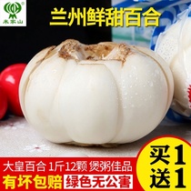 Gansu Lanzhou fresh sweet Lily emperor 500g edible farmhouse specialties 1 catty 12 vacuum non-Lily dry
