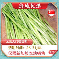 (Vegetables)Green dragon 200g Singapore local delivery