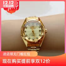 Antique collection table inventory Tianjin watch factory seagull automatic women womens mechanical watch womens watch