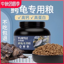 Crocodile turtle feed turtle food turtle little young turtle bursting Buddha crocodile pure big crocodile turtle food