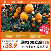 M2M Mandarin flower Ethiopian washing yagahefi citrus hand brewing Ethiopian coffee bean 100g