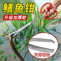 Eel clip lengthy non-slip eel clip stainless steel catch crab Loach pliers catch sea tool long fish catcher